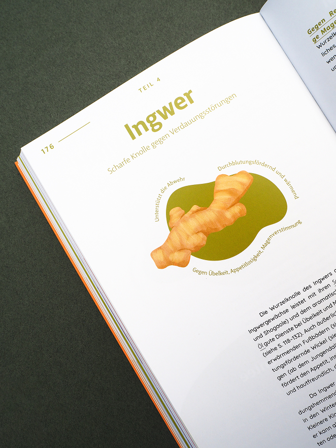 valentina-grabner-stadelmann-buchgestaltung-editorial-design-2024-15