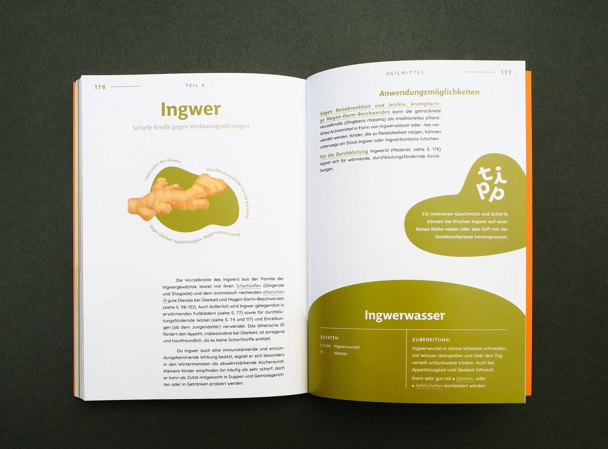 valentina-grabner-stadelmann-buchgestaltung-editorial-design-2024-17