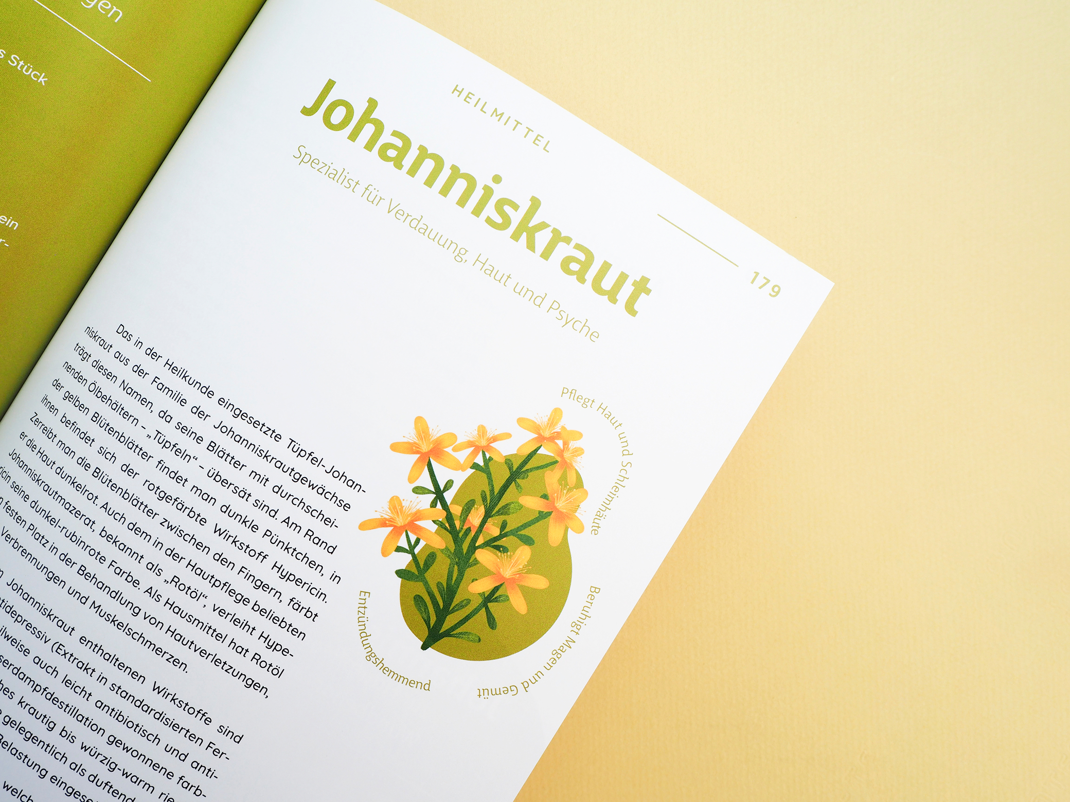 valentina-grabner-stadelmann-buchgestaltung-editorial-design-2024-25