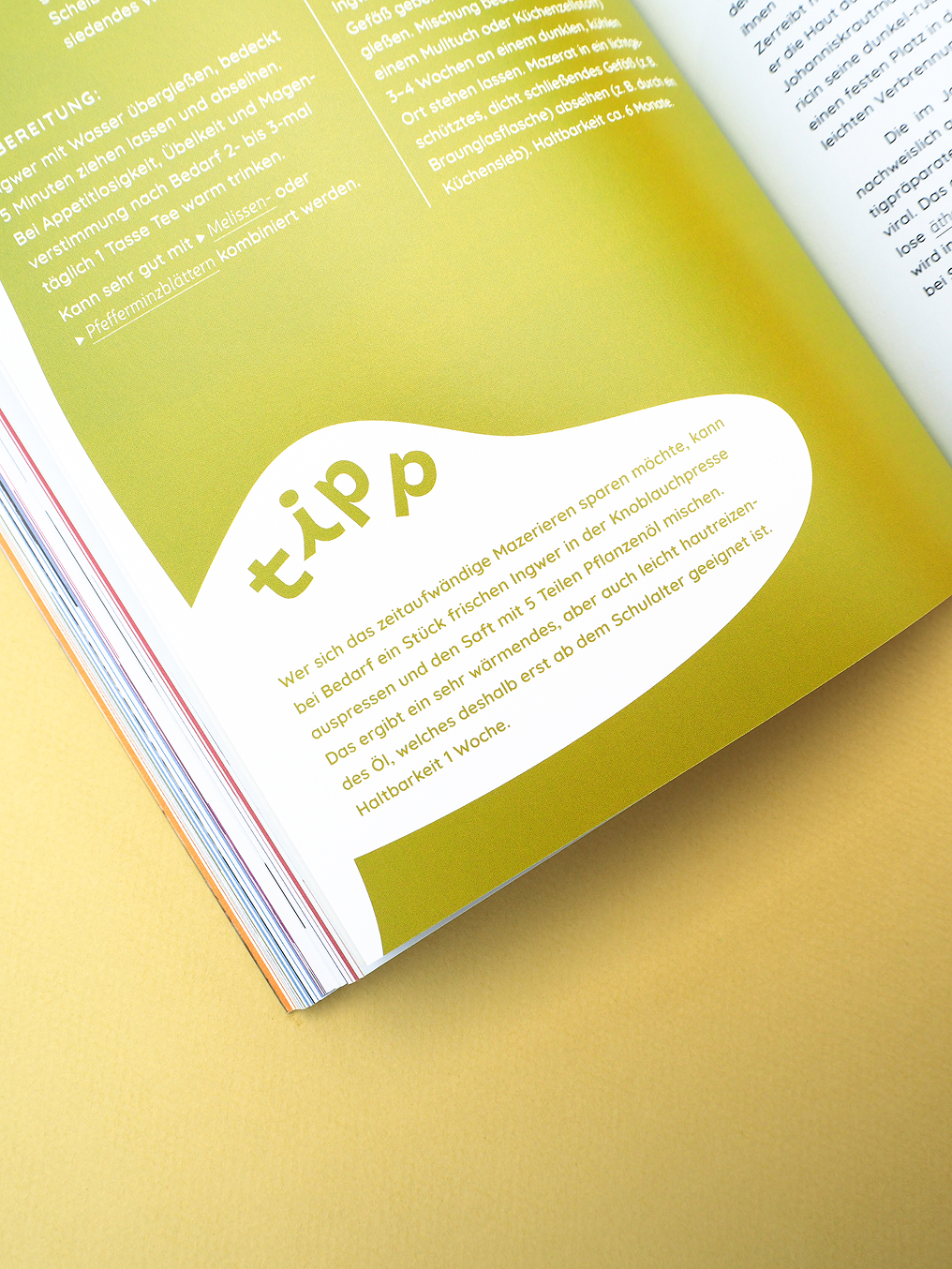 valentina-grabner-stadelmann-buchgestaltung-editorial-design-2024-27