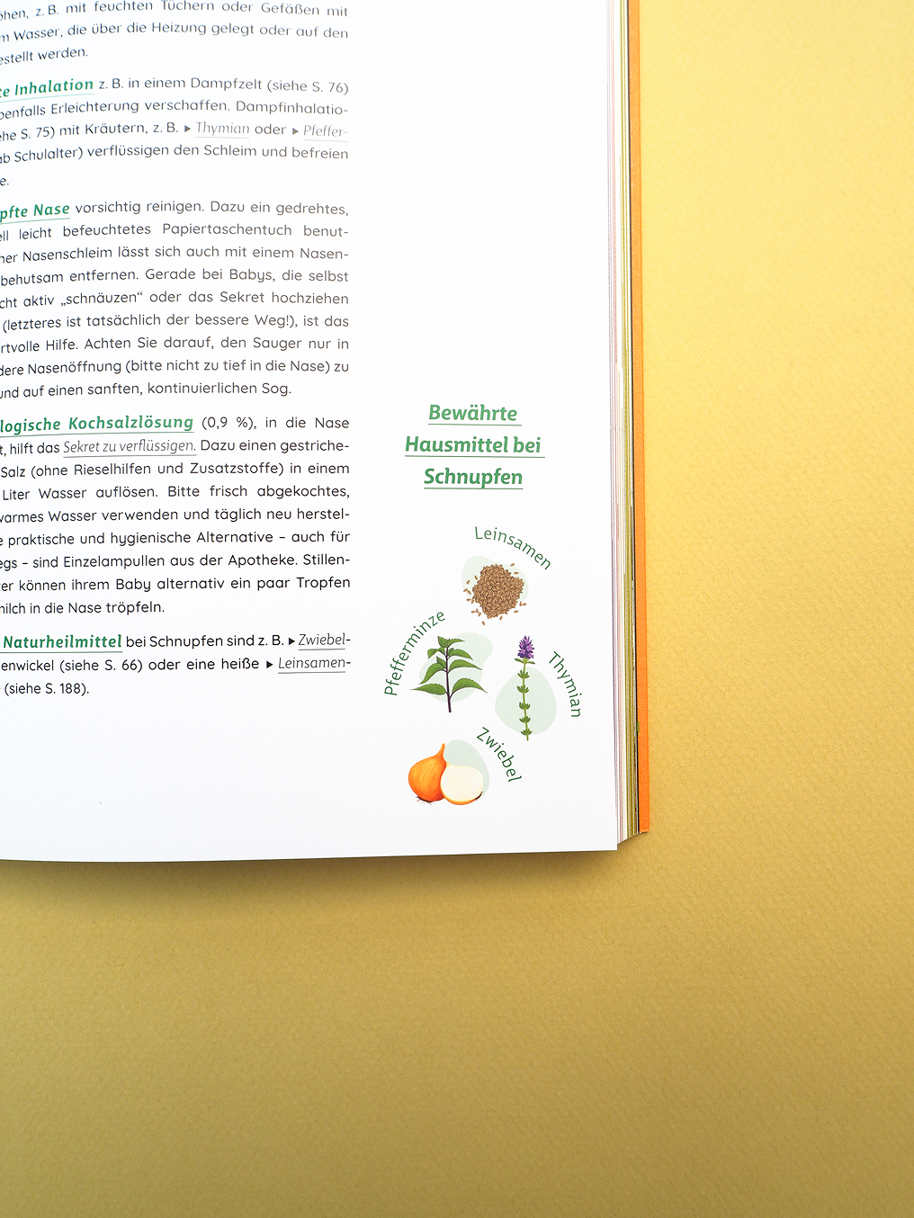 valentina-grabner-stadelmann-buchgestaltung-editorial-design-2024-30