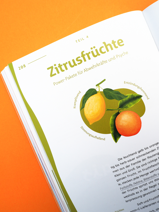 valentina-grabner-stadelmann-buchgestaltung-editorial-design-2024-31