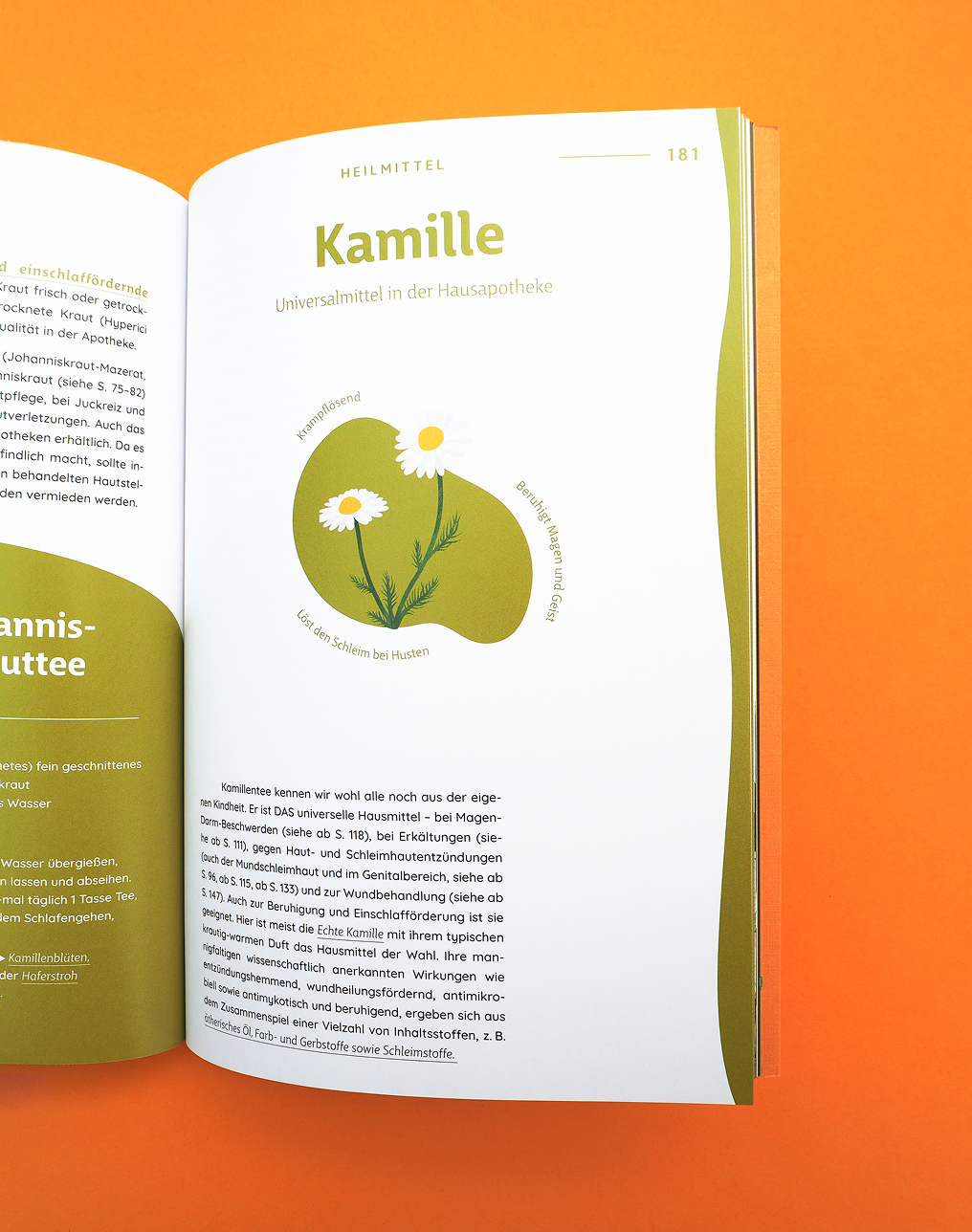 valentina-grabner-stadelmann-buchgestaltung-editorial-design-2024-33