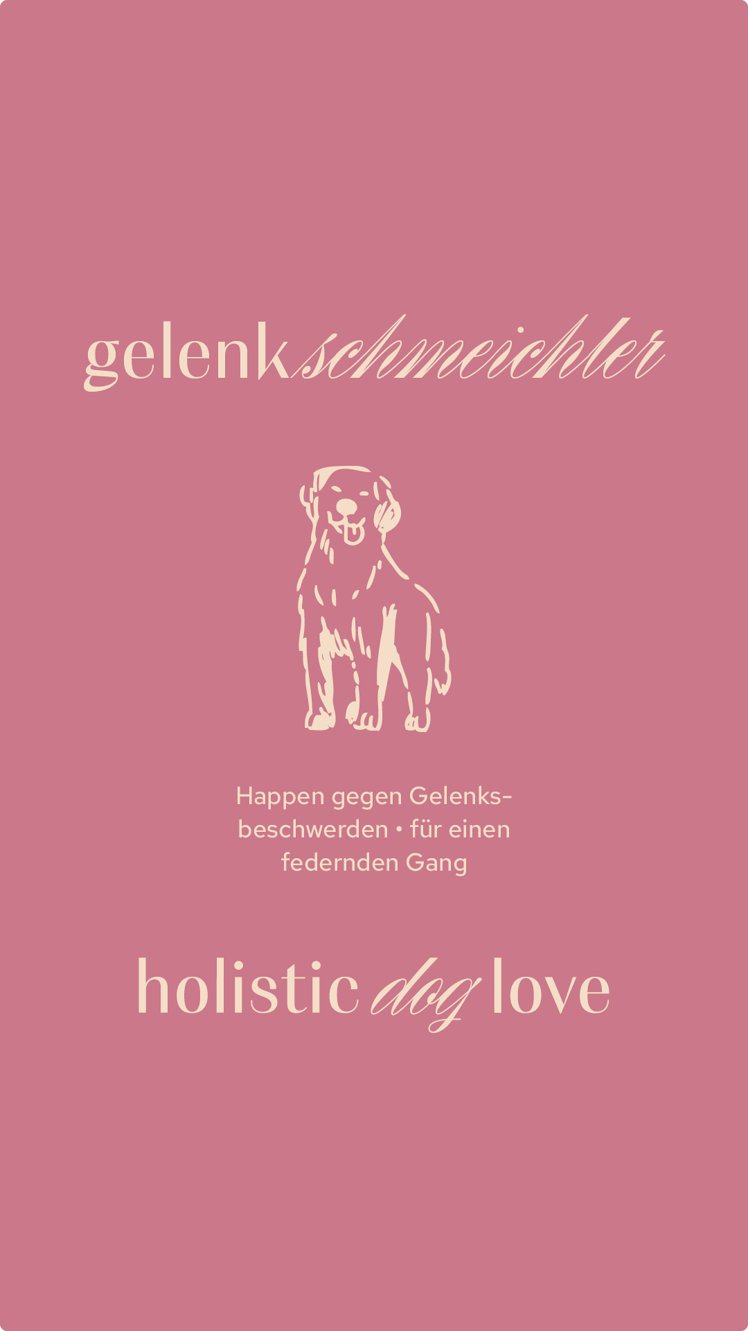 2502-HDL-SoMe-1080x1920px-gelenkschmeichler