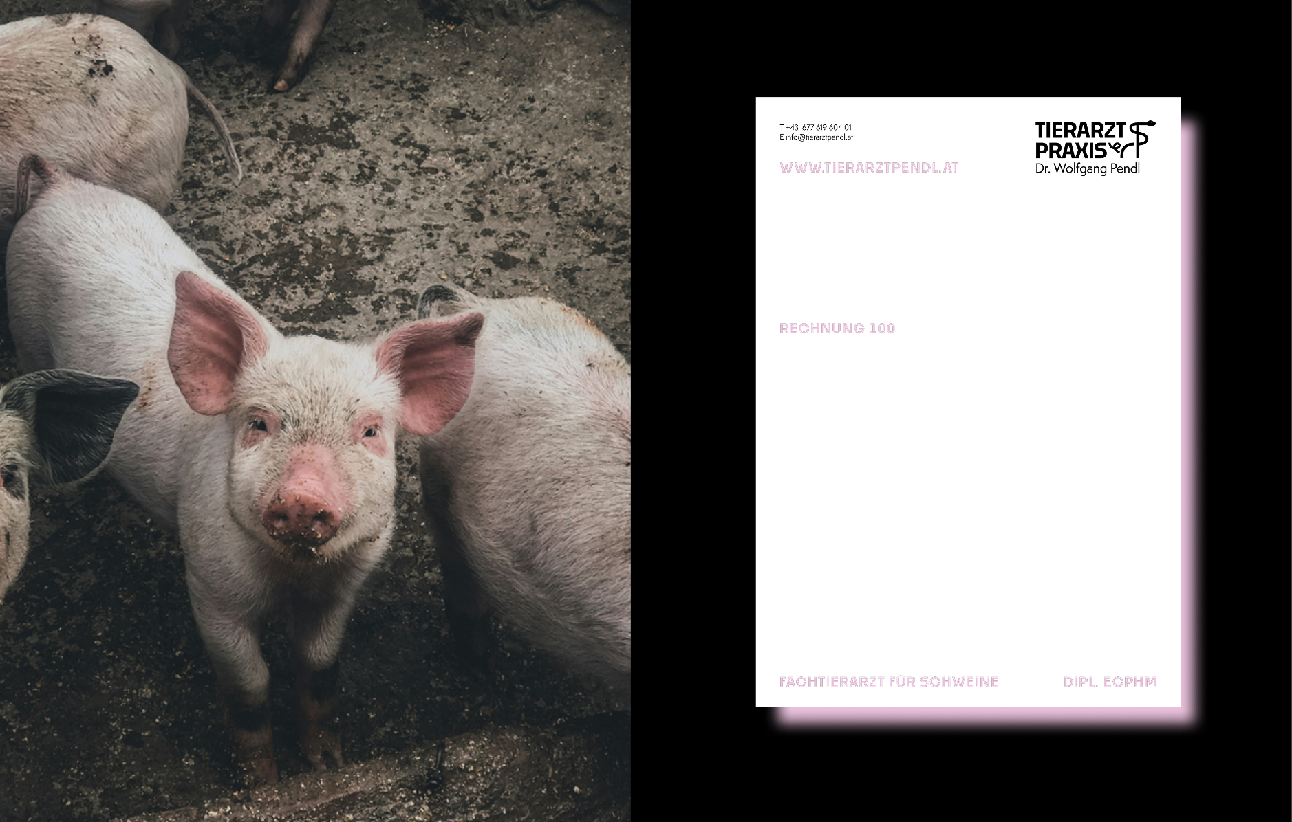 valentina-grabner-branding-logo-design-tierarzt-pendl-07