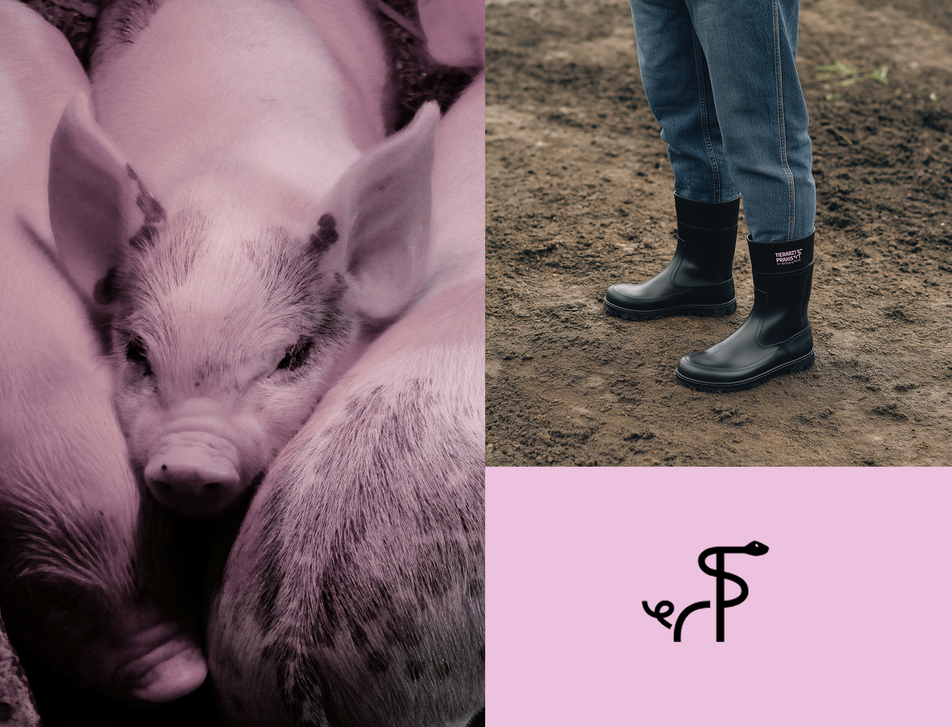 valentina-grabner-branding-logo-design-tierarzt-pendl-10