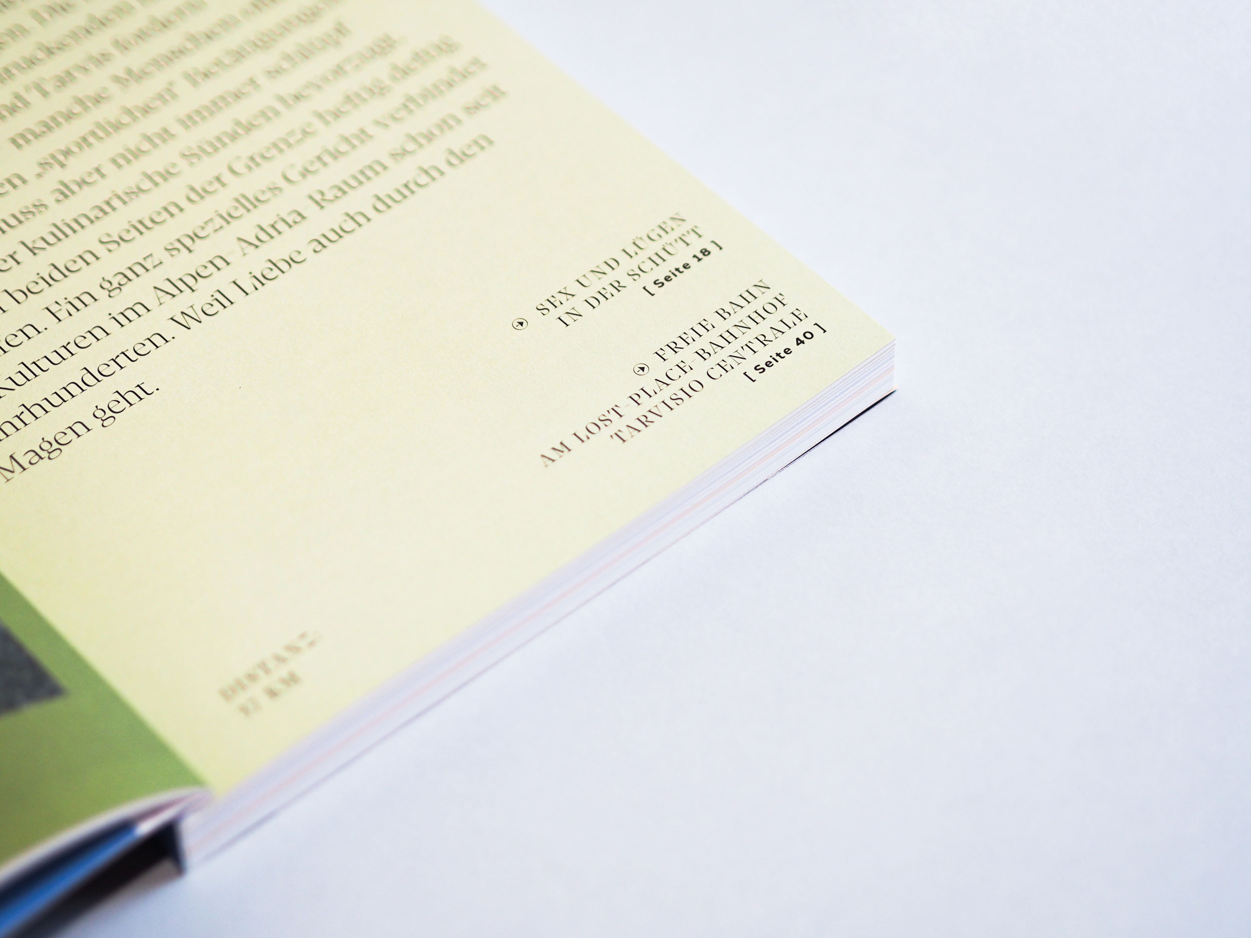 valentina-grabner-editorial-design-alpe-adria-styria-verlag-P1011602-Edit